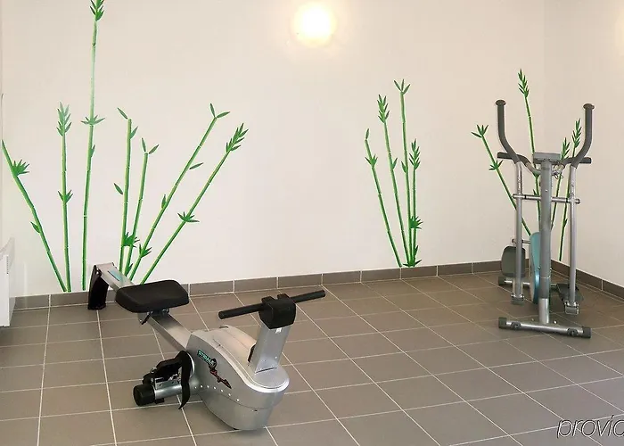 Sejours & Affaires 2* מנוסק